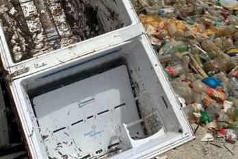 La contaminación afecta la fauna y la biodiversidad marina.