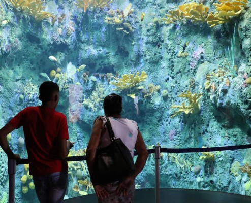 Biomuseo, un plan de lujo