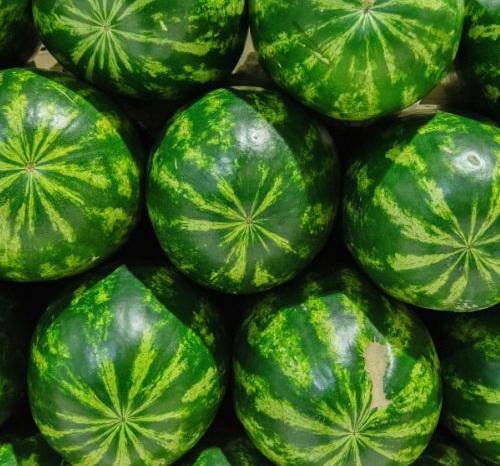 La sandía se encuentra entre los principales productos exportables de Panamá