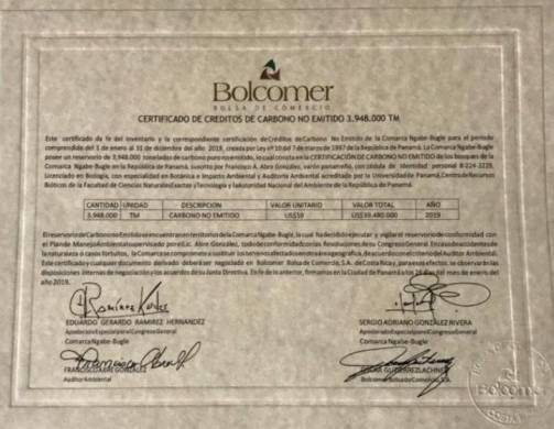 Certificado con la firma de Sergio González Rivera