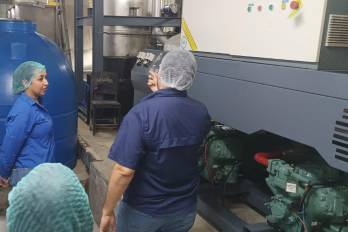 Inspección del Minsa a plantas en Los Santos.