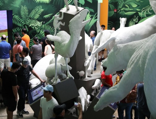 Biomuseo, un plan de lujo