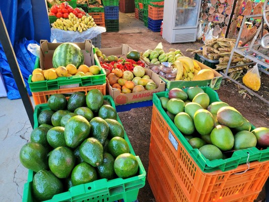 Feria internacional de La Chorrera, una mezcla de tradición y cultura