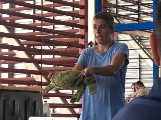Pescadores reciben capacitación en manejo y liberación de las tortugas marinas