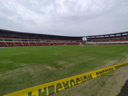 Trabajos de el césped híbrido en el estadio Rommel Fernández.