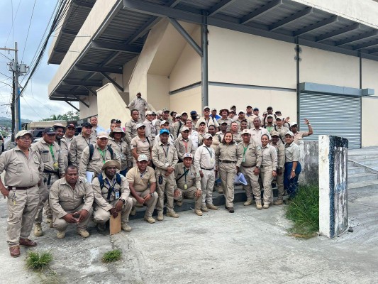 Integrantes del Departamento de Control de Vectores del Minsa realizarán operativos interregionales para bajar la infestación del mosquito Aedes aegypti.