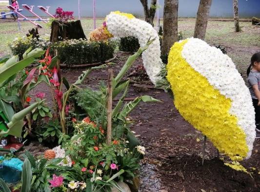 Sexta versión de La Parada de Las Flores de Tierras Altas