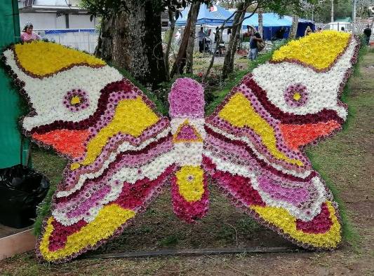 Sexta versión de La Parada de Las Flores de Tierras Altas