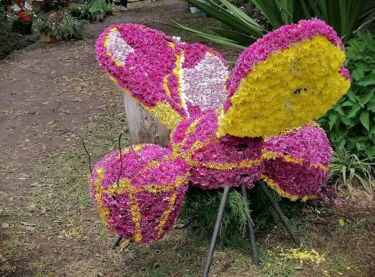 Sexta versión de La Parada de Las Flores de Tierras Altas