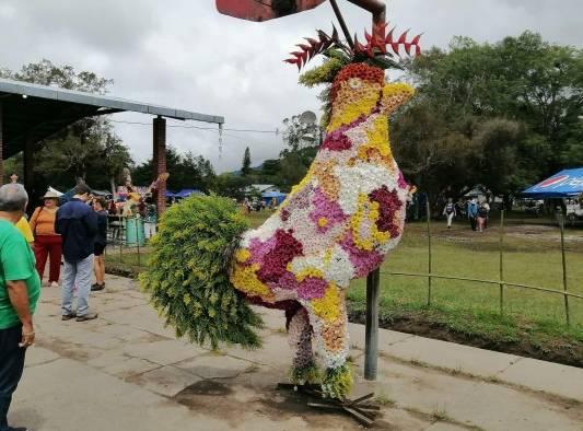 Sexta versión de La Parada de Las Flores de Tierras Altas