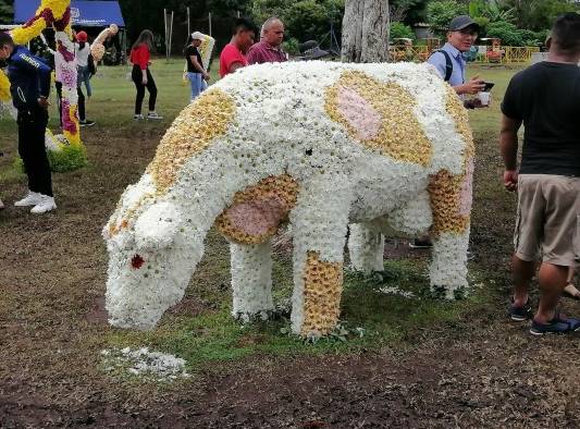Sexta versión de La Parada de Las Flores de Tierras Altas