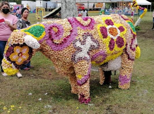 Sexta versión de La Parada de Las Flores de Tierras Altas