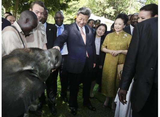 El presidente chino, Xi Jinping (centro), y su esposa Peng Liyuan visitan un santuario de vida silvestre en Harare, Zimbabwe, el 2 de diciembre de 2015.