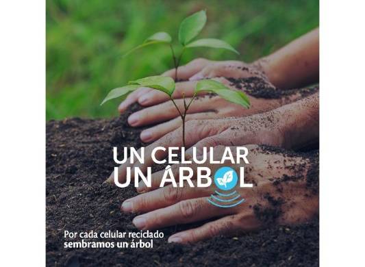 Un Celular, un árbol; Iniciativa integral para la gestión ambiental moderna