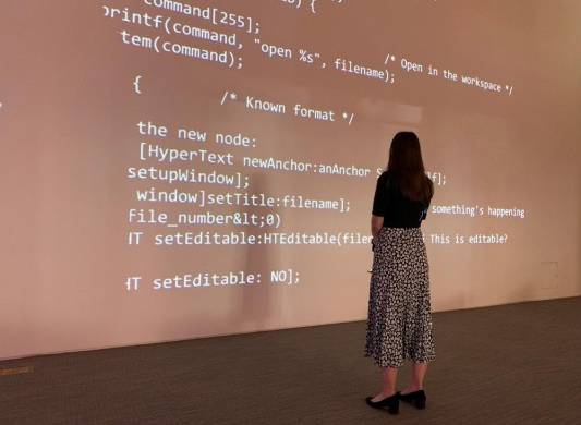 Foto de archivo que muestra a una persona mientras observa una proyección con el código fuente de la World Wide Web (www) en lenguaje de programación Python.