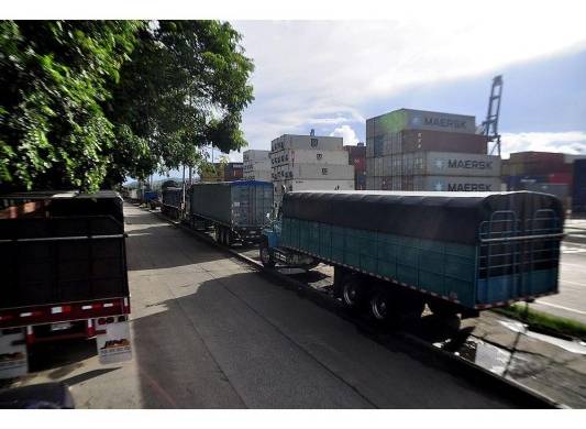 Imagen de archivo de los camiones que recibirán el arroz a granel para trasladarlo a los molinos para pilado y empacado.