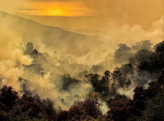 'Cave fire', el incendio que consume el sur de California