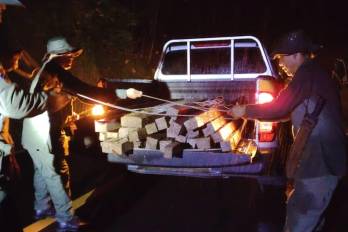 Durante labores de patrullaje ambiental, guardaparques detectaron a dos personas con madera sin respaldo legal; una de ellas se dio a la fuga.