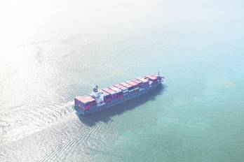 Hasta la fecha, treinta y tres Estados y una organización regional de integración económica han firmado la Convención.