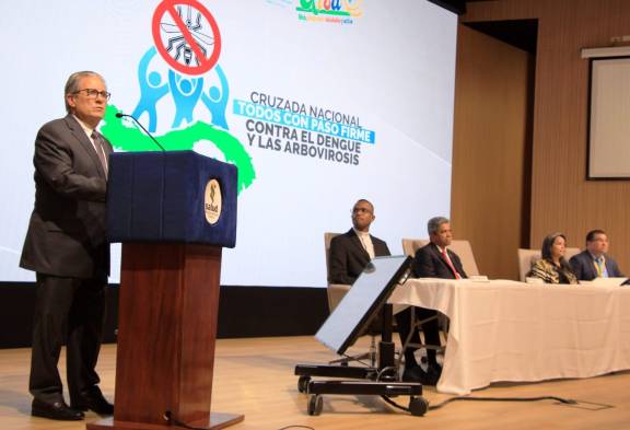 El dengue y las arbovirosis serán tema de Estado. Lo que implica