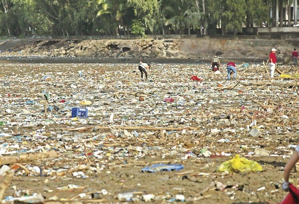 El plástico, principal agresor de los ecosistemas marinos