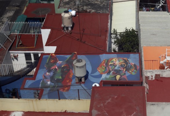 Grafitis dan colorido a paredes y azoteas en alcaldía de Ciudad de México