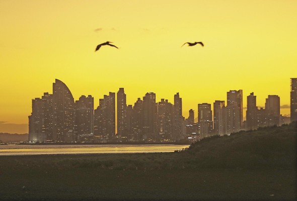 Panamá, un cielo privilegiado para el avistamiento de aves