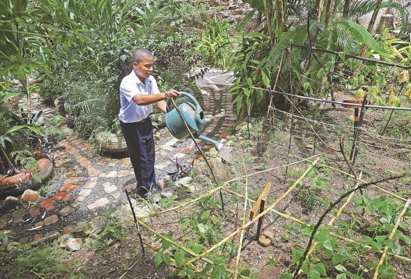 Todas las semanas, voluntarios asisten para apoyar la preservación del jardín.