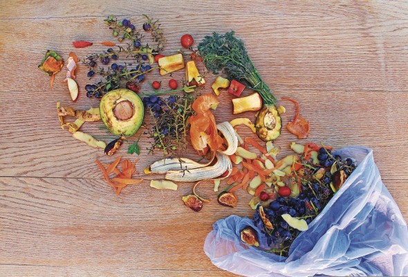 Según la FAO, en el mundo se desechan entre un tercio y un cuarto de todos los alimentos que se producen.