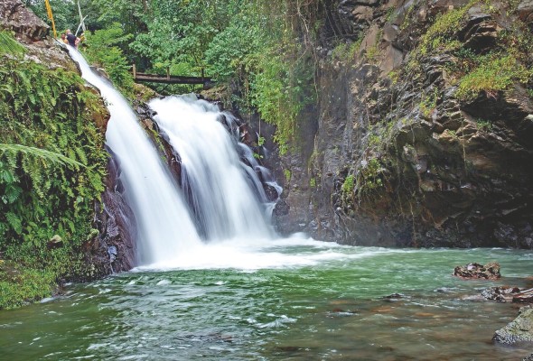 De acuerdo con los altos niveles de pobreza de la región, en los trópicos hay más personas malnutridas que en otras partes del mundo.