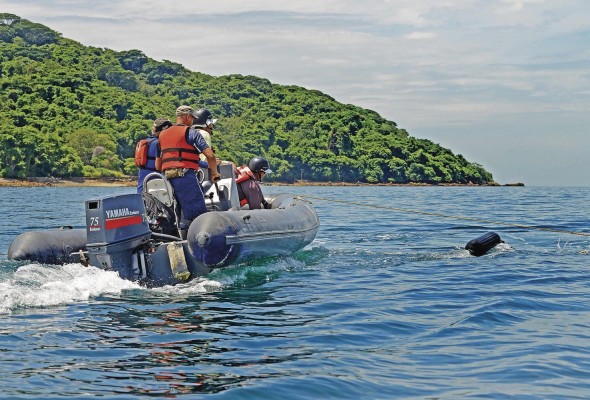 Los expertos recomiendan a las personas mantenerse a 250 metros de las ballenas.