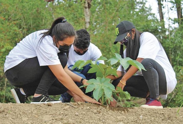Iniciativas como la siembra de árboles la deben promover tanto en niños como adultos