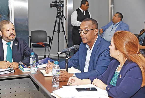 Jonathan Riggs; secretario general del Minseg; Leandro Ávila, presidente de la comisión de Gobierno, y Corina Cano, presidenta de la mesa técnica