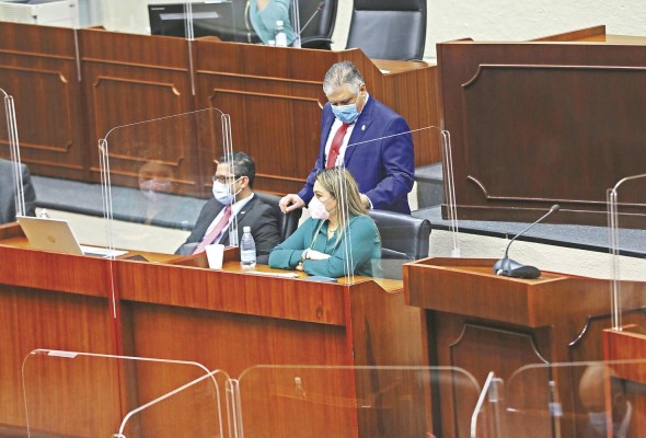 El Pleno aprobó ayer en segundo debate el proyecto de ley 354.