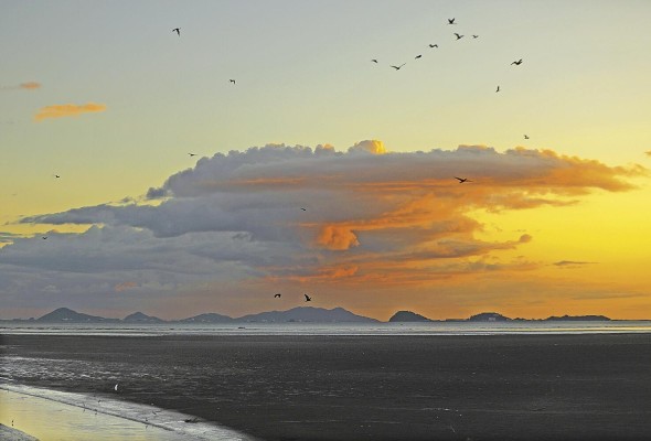 Panamá, un cielo privilegiado para el avistamiento de aves