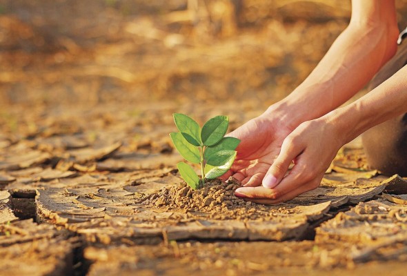 La revisión de las conexiones hidrológicas permitirá hacer frente a los cambios en los patrones de precipitación y el aumento de la temperatura causados por el cambio climático.