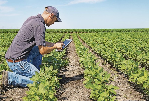 El sector agropecuario comenzará a usar plataformas tecnológicas móviles como celulares o 'tablets' para crear registros sanitarios.