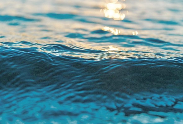 De acuerdo con los expertos el nivel del mar ha alcanzado alturas sin prescendentes debido a las altas temperaturas del agua.