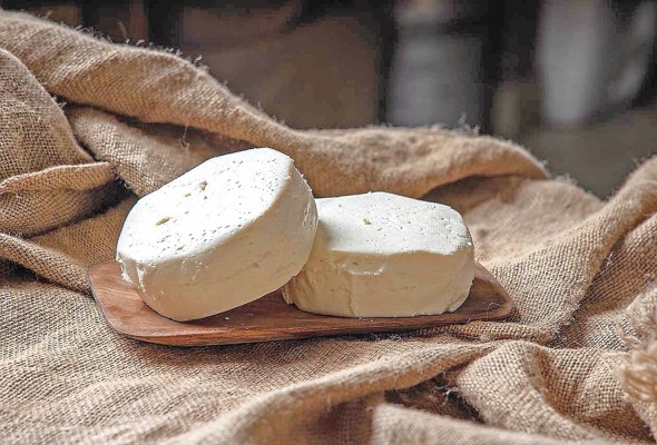 Quesos artesanales de vaca y de cabara de The Cheese Cave
