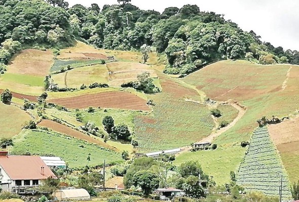 La región apuesta por desarrollar el agroturismo para mejorar el flujo de ingresos en la zona.
