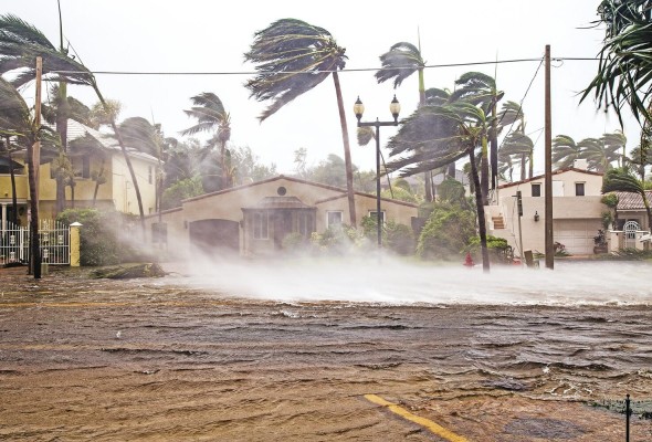 Los patrones de lluvia se verán cada vez más afectados, con algunos lugares recibiendo más lluvia y otros menos. La mayoría de los sitios experimentarán una mayor variación en las precipitaciones.
