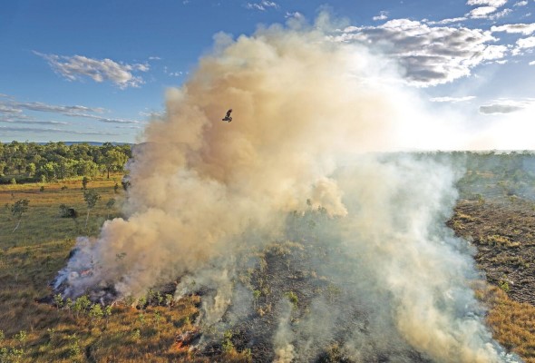 El trabajo fotográfico del fotoperiodista australiano Matthew Abbott reivindica una práctica milenaria y cultural de los indígenas australianos, que queman los arbustos de forma estratégica para salvar los bosques y controlar posibles incendios.