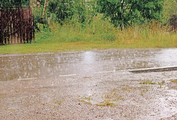 Las lluvias sirven para abastecer las distintas partes del ciclo del agua y son, sin lugar a dudas, uno de los ejes centrales en los puntos de abastecimiento de los seres vivos, según los científicos.