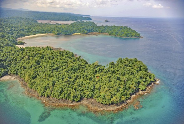 El Parque Nacional Coiba cuenta con varias especies endémicas y más del 80% de la isla está cubierta por vegetación.