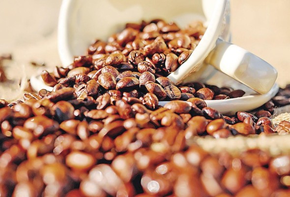 'Best of Panamá' busca destacar la excelencia del café panameño.