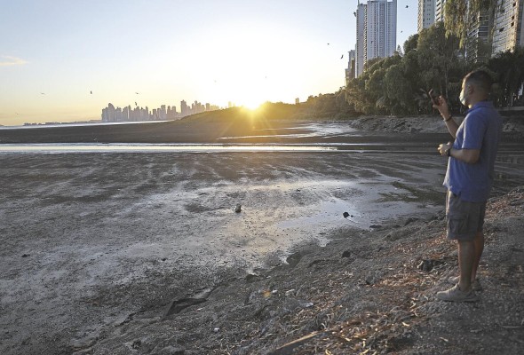 Panamá, un cielo privilegiado para el avistamiento de aves