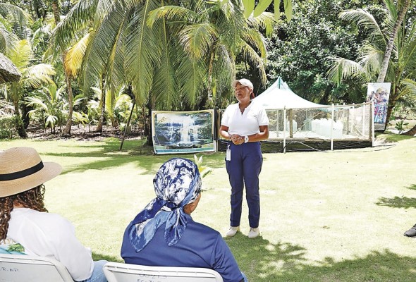 Las tortugas marinas también ayudan al mantenimiento de los hábitats que utilizan.