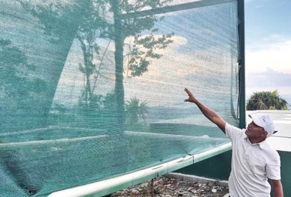 Los atrapanieblas están ubicados a 430 metros sobre el nivel del mar en el cerro Cabra.