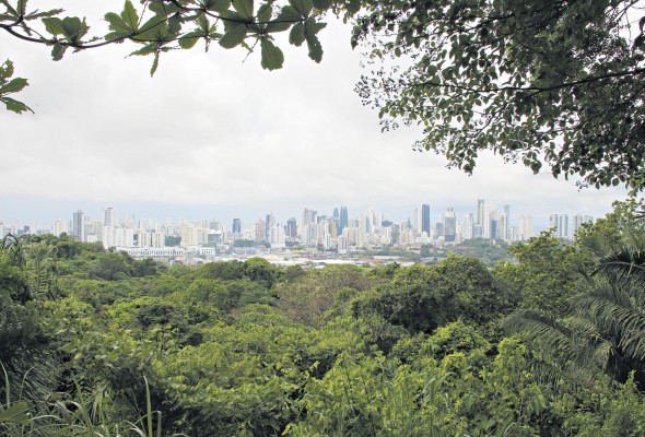Vista de la ciudad de Panamá desde el Parque Natural Metropolitano