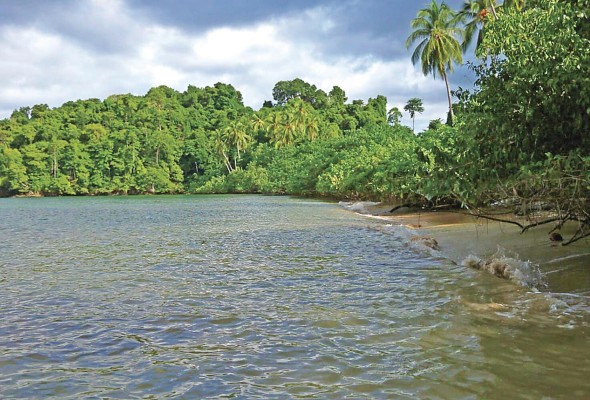 Los humedales marinos incluyen todo aquel ambiente de aguas marinas someras, así como playas rocosas, de arena y de grava.